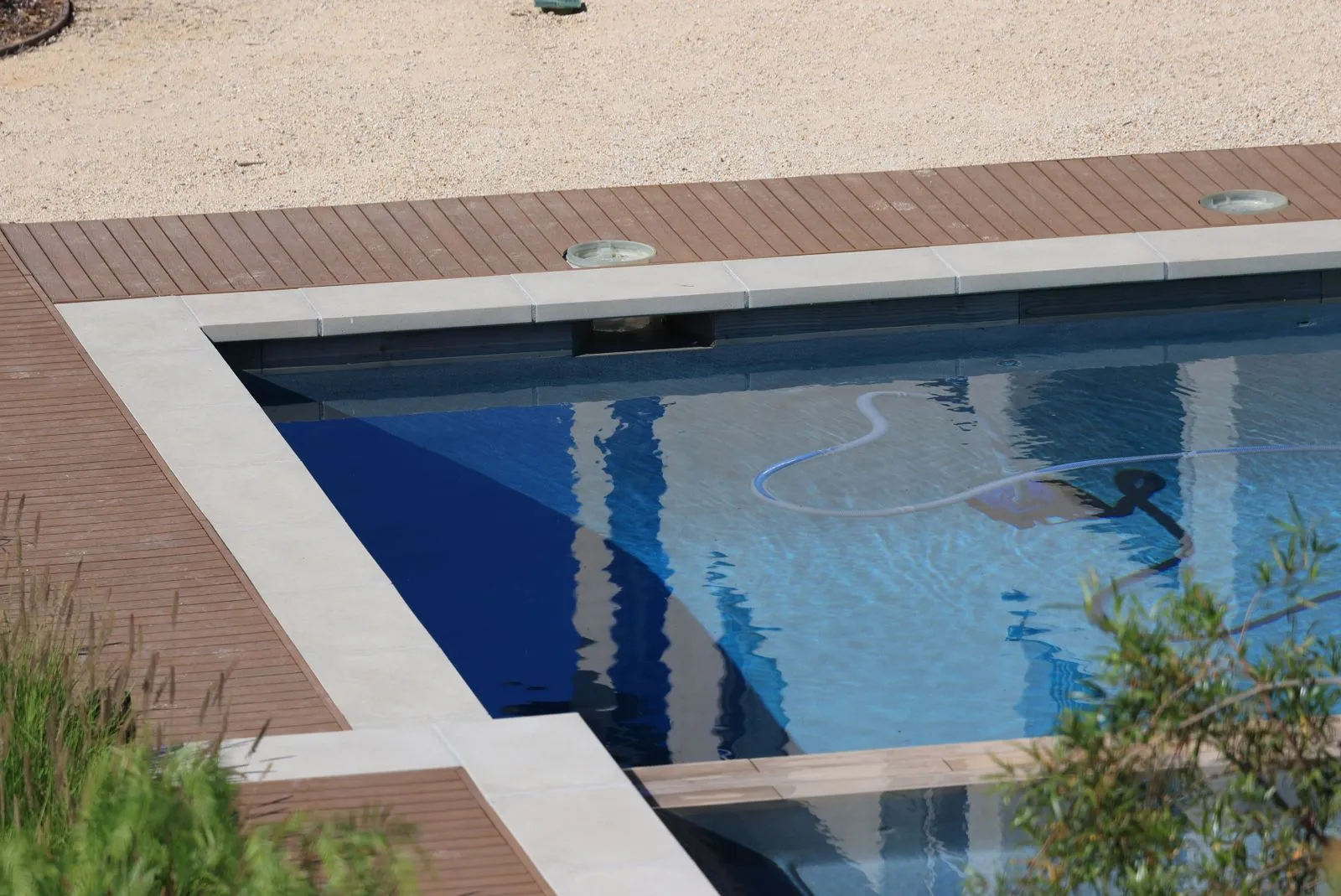 Lap Pool Design Ideas for Edinburgh Gardens